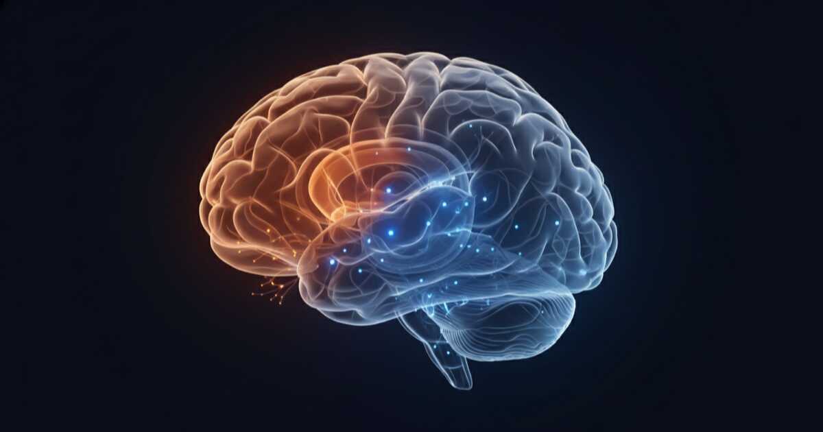 Illustration showing the brain's language processing areas during a freeze moment
